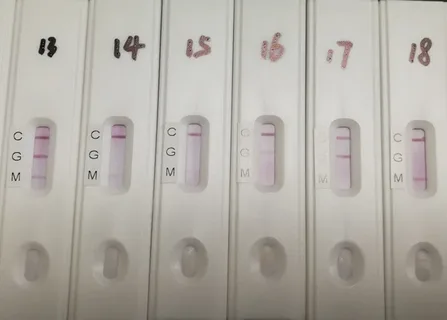 تصویر 3 از کیت تست معده برای میکروب + تشخیص دقیق و ثبت سفارش آسان